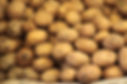 Russet Potatoes