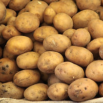 Russet Potatoes
