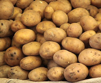 Frostburg UMC- Serving Others / Pennies Into Potatoes