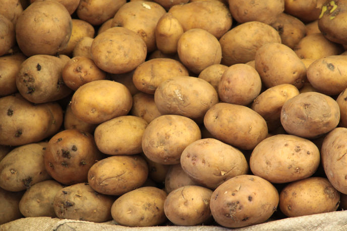 National Tater Day:  Fun Spud Facts