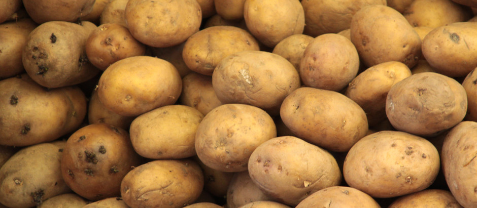 The Mashed Potato Showdown