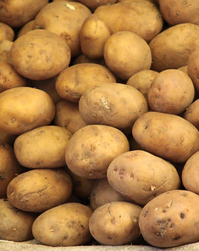 Russet Potatoes