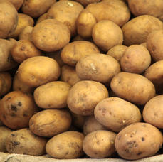 Potatoes and Pumpkin