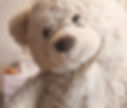 Teddy%2520Bear_edited_edited.jpg
