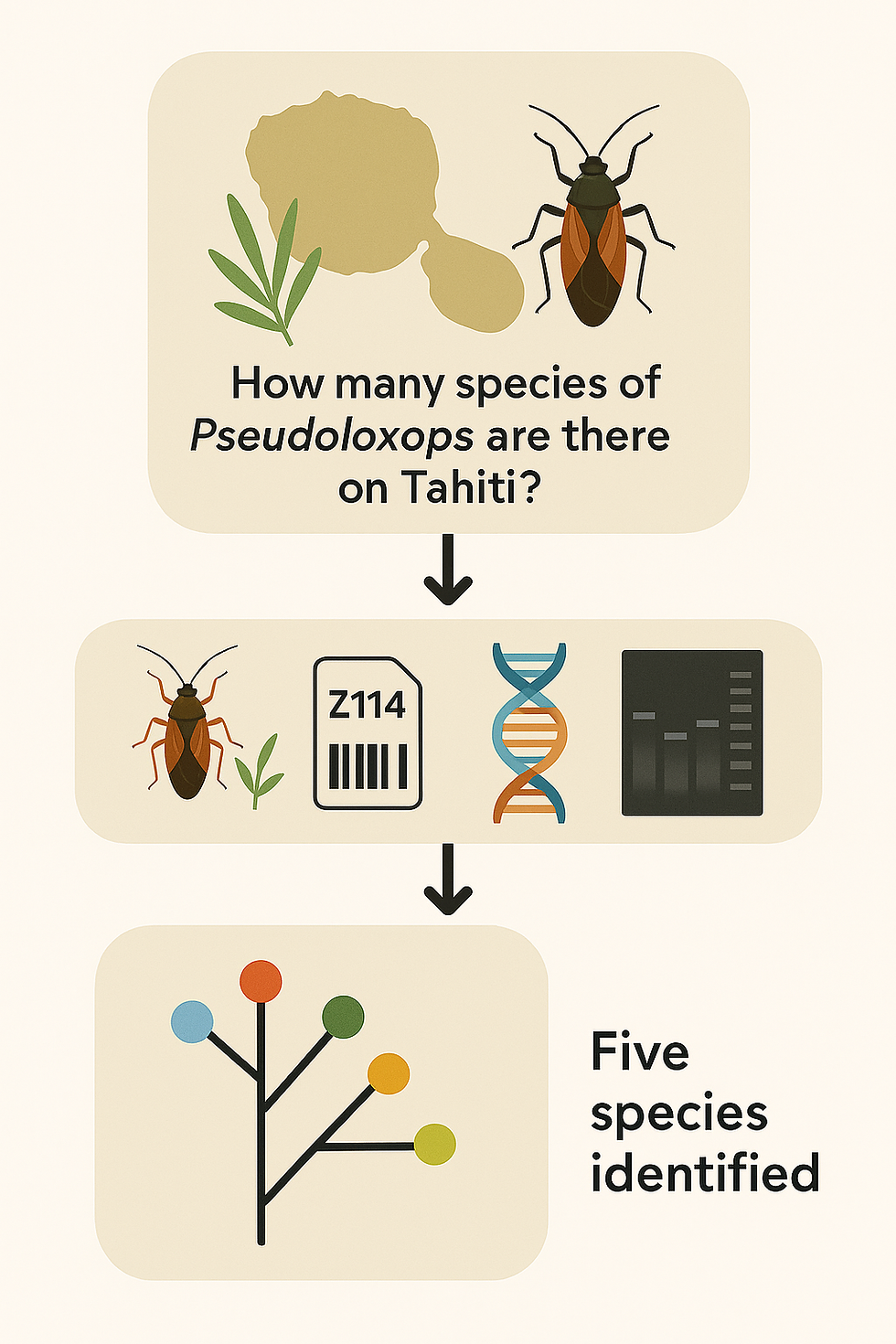 Molecular Biology | Bioinformatics
