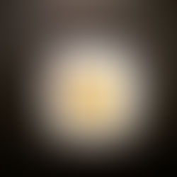 Tartare di Controfiletto in Panure di Muddica