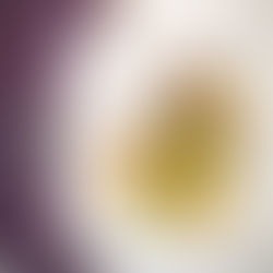 Polpette di Manzo e Zucca in Panure di Avena su crema di Zucchine