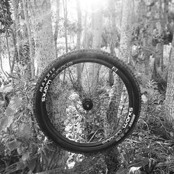 Enduro Carbon rim by _enduroworks #EnduroWorks #Enduro #CapeTown #MTB #AdventureCPT #Carbon #CarbonM