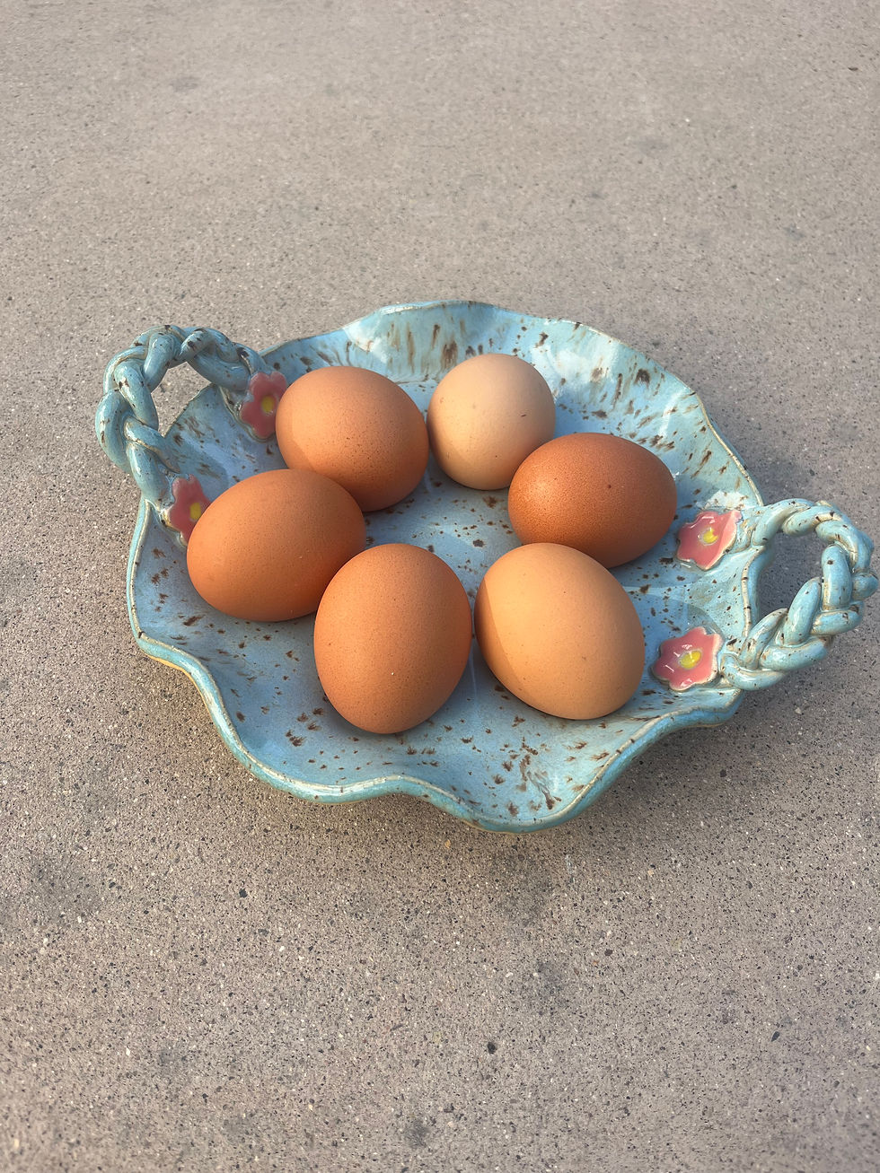 Ceramic Egg Dish