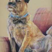 murphy-border-terrier-full-body-claire-mills-colour-pencil-portrait.jpg