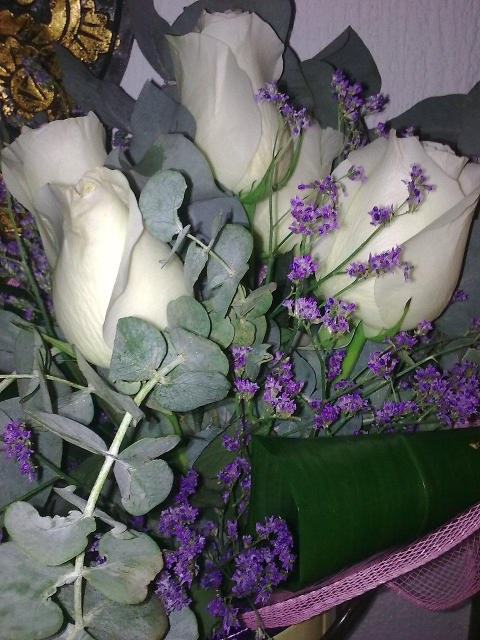 Image1338.jpg