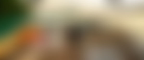 Checklist de Ouro: O Protocolo Solara para uma Navegação Segura e Sofisticada