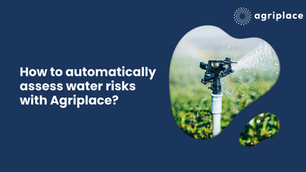 ¿Cómo evaluar automáticamente los riesgos hídricos con Agriplace?
