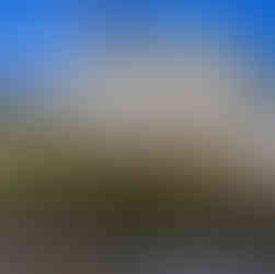 Stunnign brick house by tauranga bricklayers western bay bricklayers