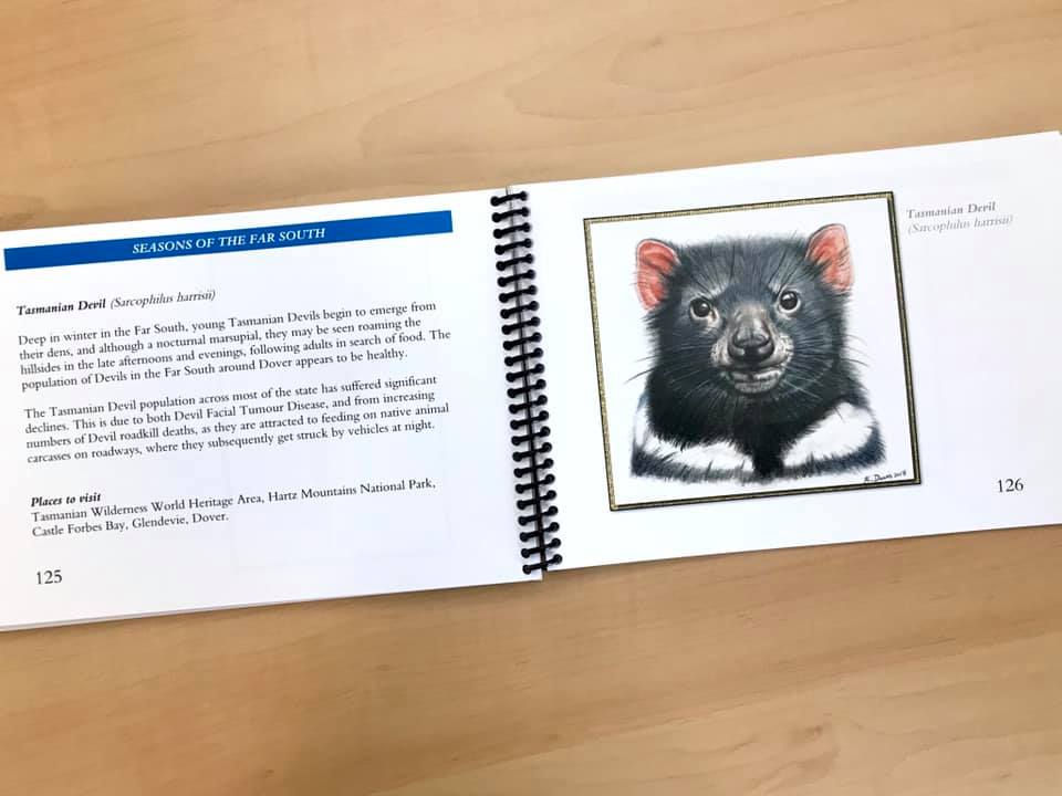 Thumbnail: Seasons of the Far South - book