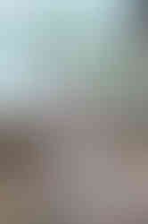 1930s Inspired Dress