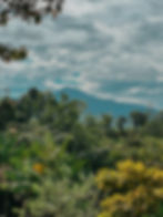 yoga shala view