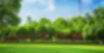 Junot Group commercial landscaping in Lafayette Louisiana
