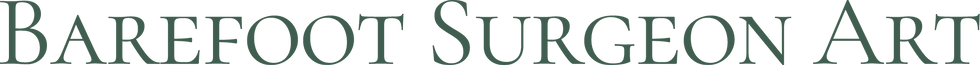 BarefootSurgeonArt_Final_Logos_RGB_BSA_Wordmark_FullColor.png