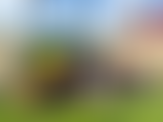 Construyendo el rumbo, transformando historias