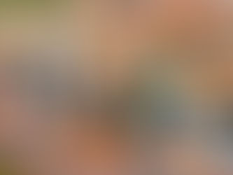 How to choose the right florist for your special event