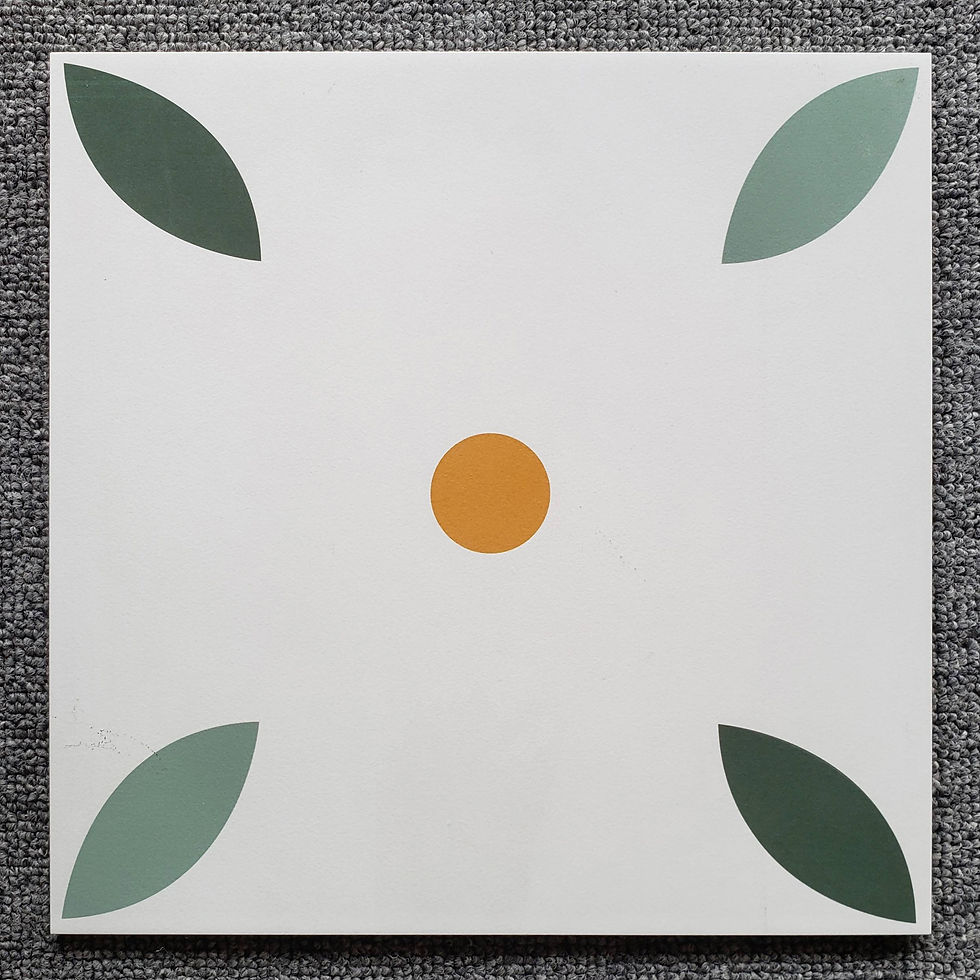縮圖：中國佛山瓷磚 China Foshan Tiles Encaustic Tiles 啞光地磚 牆磚 花磚 裝飾磚 混裝發貨 隨機圖案 30×30cm