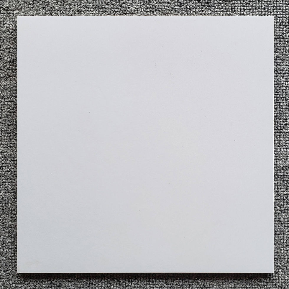 縮圖：中國佛山瓷磚 China Foshan Tiles Encaustic Tiles 啞光地磚 牆磚 花磚 裝飾磚 混裝發貨 隨機圖案 30×30cm