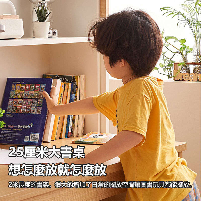 縮圖：(包送貨包安裝) 掛梯高架床 碌架床 衣櫃書桌組合床 ALT-C001C
