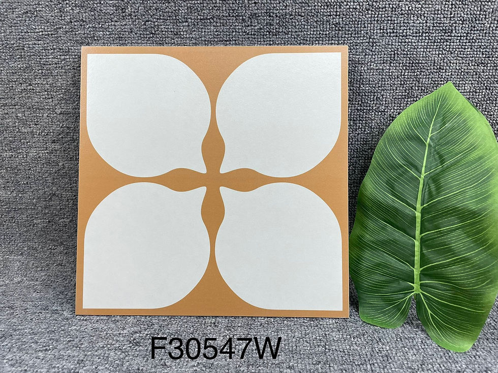 縮圖：中國佛山瓷磚 China Foshan Tiles Encaustic Tiles 啞光地磚 牆磚 花磚 裝飾磚 混裝發貨 隨機圖案 30×30cm