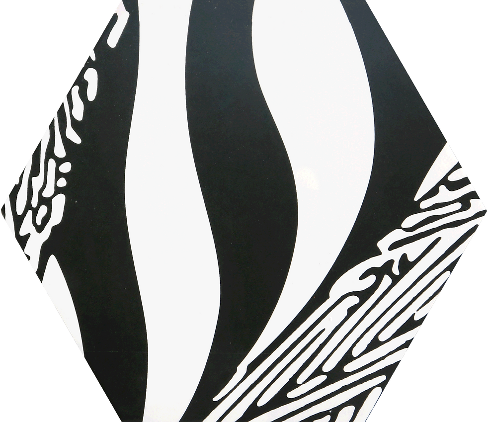 縮圖：中國佛山瓷磚 China Foshan Tiles Encaustic Tiles 啞光地磚 牆磚 FL23001 花磚 裝飾磚 20×23cm