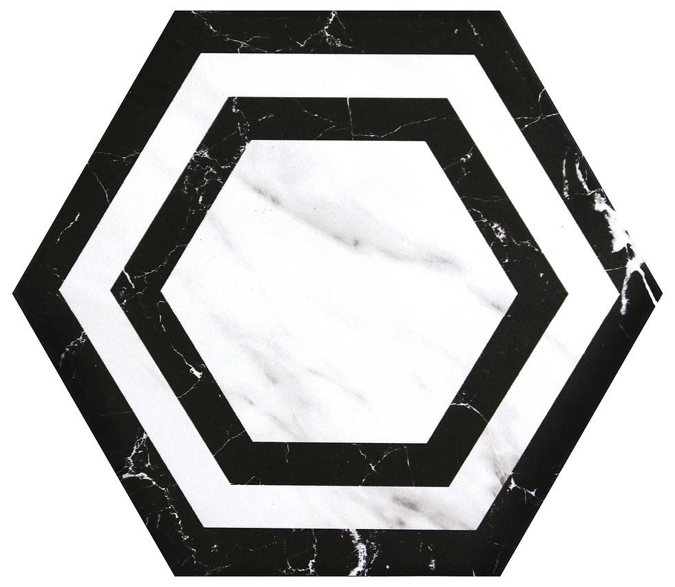 縮圖：中國佛山瓷磚 China Foshan Tiles Encaustic Tiles 啞光地磚 牆磚 FL232 FL233 花磚 裝飾磚 20×23cm