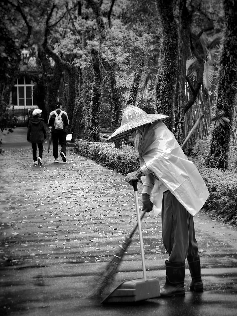 陳淑嫻｜雨後士林：靜謐的守護
