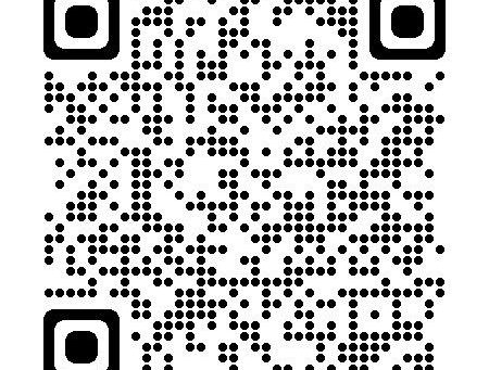 Match Programme Llanishen Game