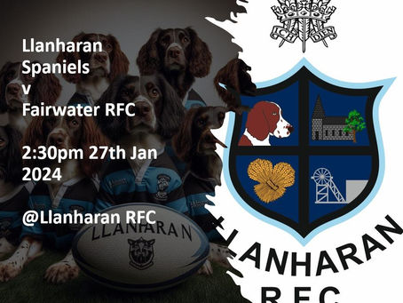 Llanharan RFC Spaniels 43 Fairwater 2nds 5
