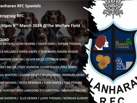 Llanharan Spaniels 42 Penygraig 2nds 12