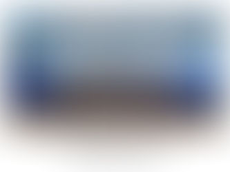 WRU National Division 2 Winners 23-24