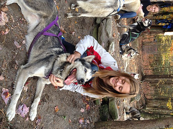 Petting Siberian Huskies