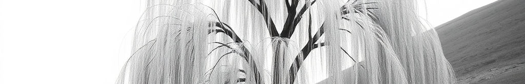 Willow Tree black and white flowing _edited.jpg