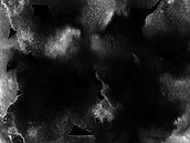 pexels-zaksheuskaya-1568607 (1)-modified_edited.jpg