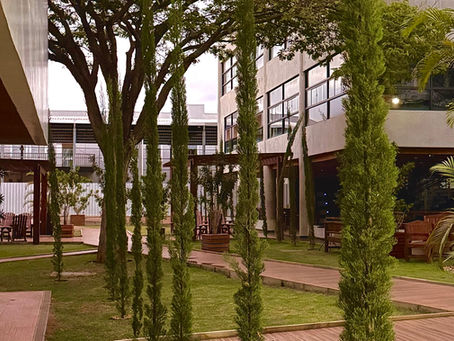 Colégio Levorsse possui os melhores índices de aprovação em vestibulares