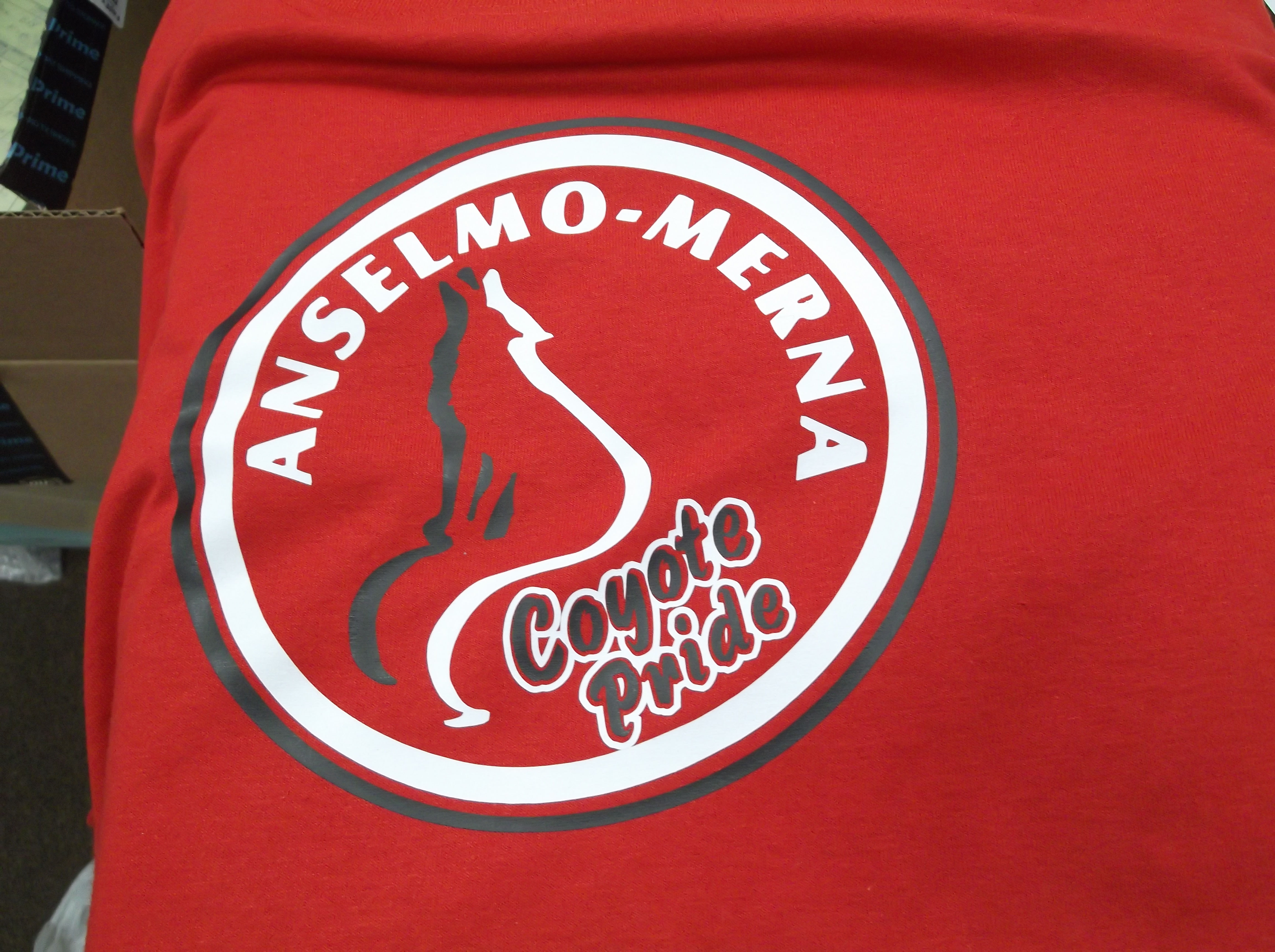 Anselmo-Merna Team Mascot on Gildan T