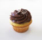 Vanilla Cupcake with Chocolate Frosting