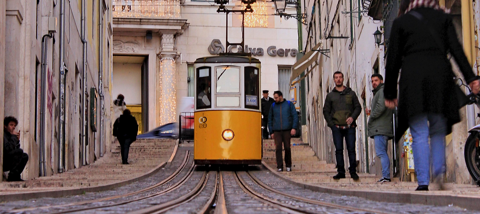 pexels-miguel-a-ferreira-3412019_edited.