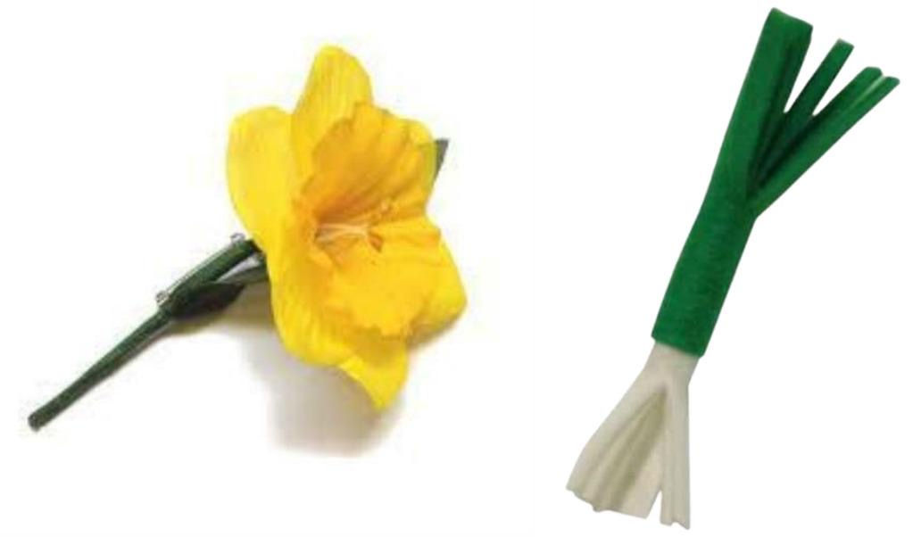 Daffodil & Leek Pin Badges