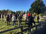 AS Guided Walk IMG_0892.jpeg