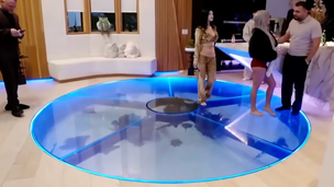 Jason Derulo Faces Criticism Over $1 Million Shark Tank at California Mansion