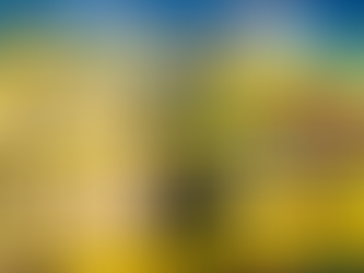 Tariffs Threaten to Upend Economic Forecasts and Global Trade