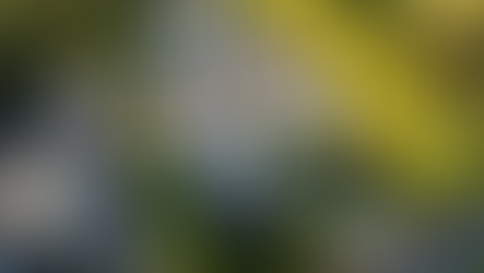 Gunfire Shatters the Quiet of Rihanna’s Beverly Hills Home in a Frightening Security Scare