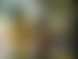 PRLM CHLD: The Duo Redefining Music and Style in 2025