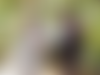 Emma Roberts Marries Cody John in an Intimate Idaho Wedding